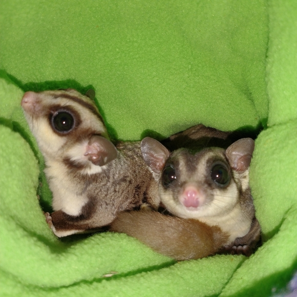 Meet your Posher, Vikki - Picture 9 of 12